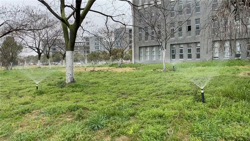 智能喷灌 让每一滴水都精准落地